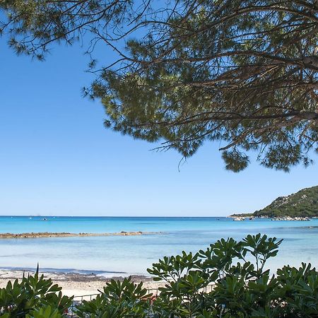 Residence Mobydick Porto-Vecchio  Zewnętrze zdjęcie