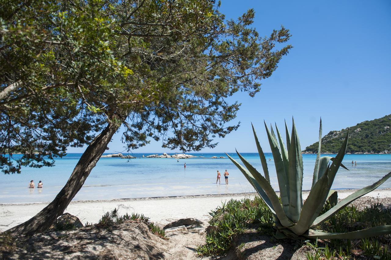 Residence Mobydick Porto-Vecchio  Zewnętrze zdjęcie
