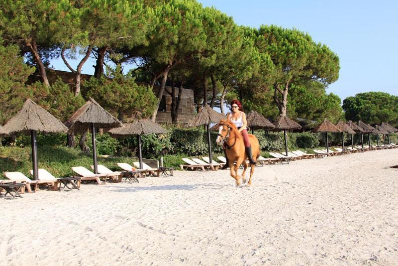 Residence Mobydick Porto-Vecchio  Zewnętrze zdjęcie